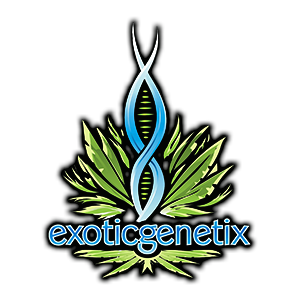 Exotic genetix